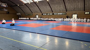 standre15